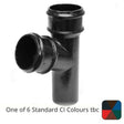 Alumasc Apex 65mm (2.5") Cast Iron 112 degree Branch without Ears - One of 6 CI Standard RAL Colours TBC